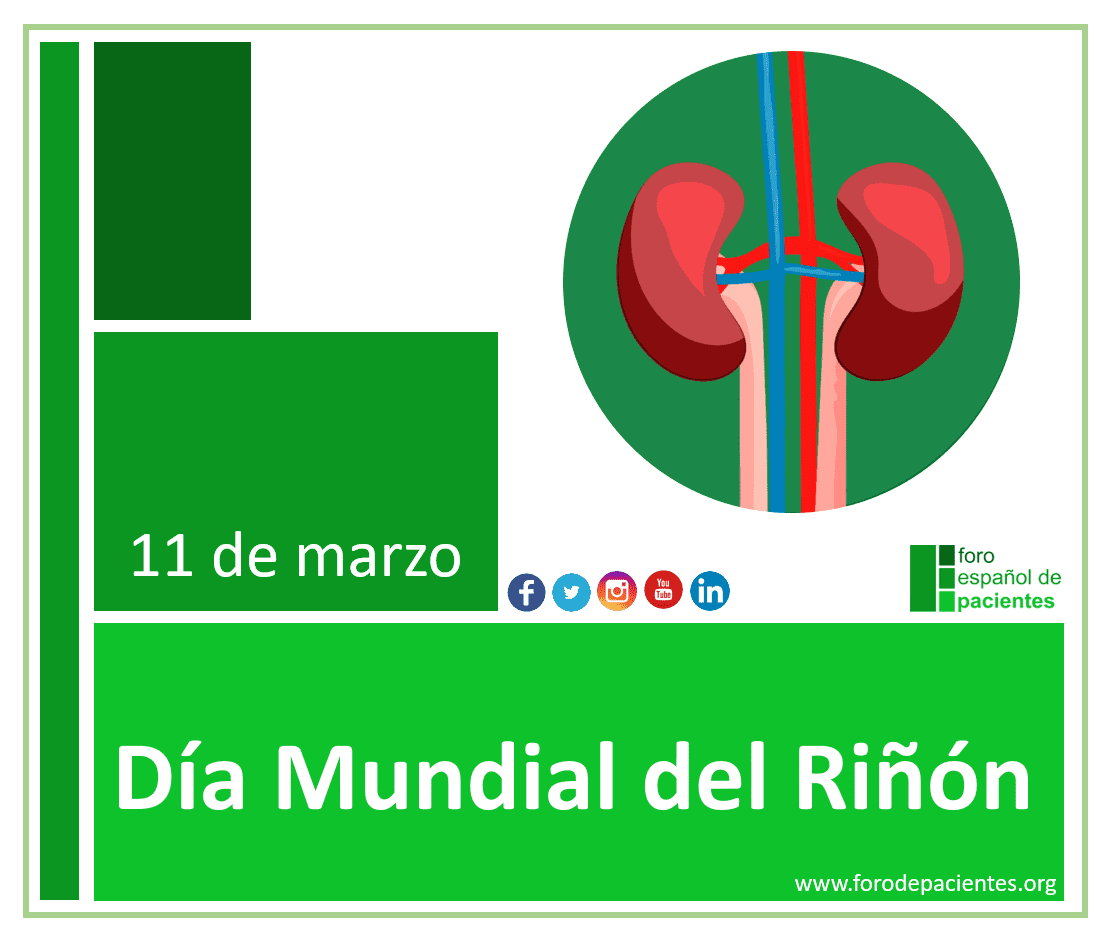 dia mundial del rinon