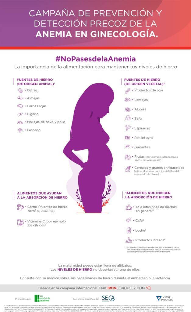 La importancia de la alimentación para mantener tus niveles de hierro 1 Infografía alimentos