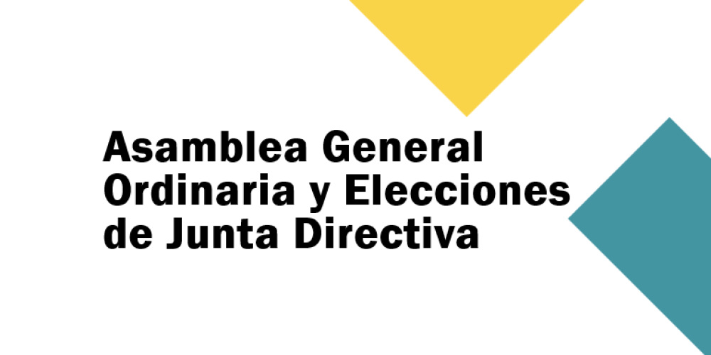 Imagen Asamblea General WEb